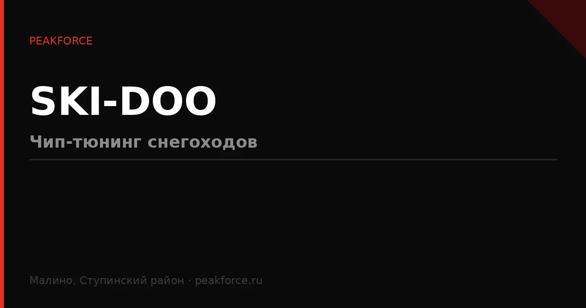 Чип-тюнинг Ski-Doo: прошивка ЭБУ снегоходов Rotax 600/850/900 ACE/900 Turbo