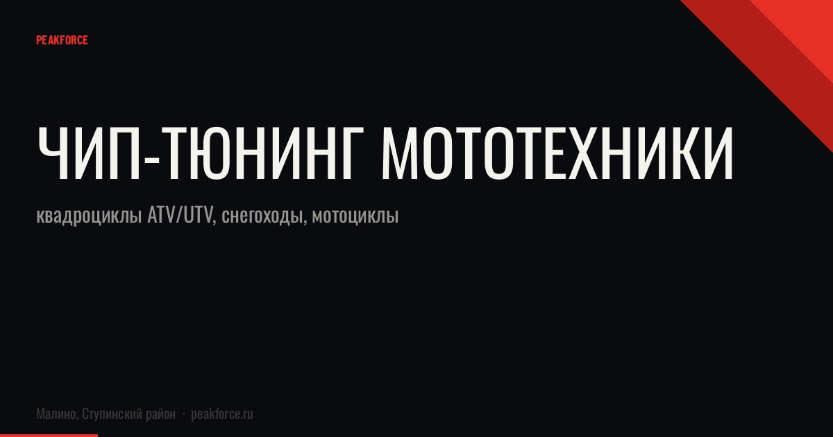 Чип-тюнинг мототехники: квадроциклы ATV/UTV, снегоходы, мотоциклы