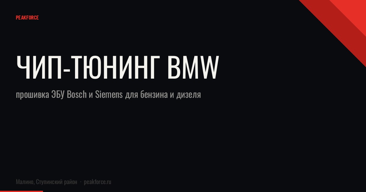 Чип-тюнинг BMW: прошивка ЭБУ Bosch и Siemens для бензина и дизеля