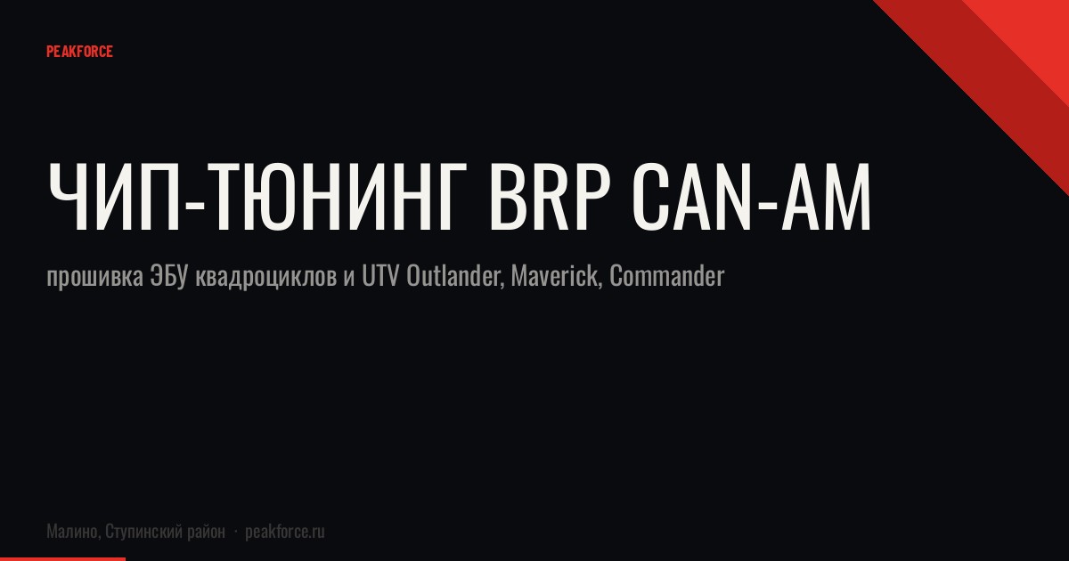 Чип-тюнинг BRP Can-Am: прошивка ЭБУ квадроциклов и UTV Outlander, Maverick, Commander