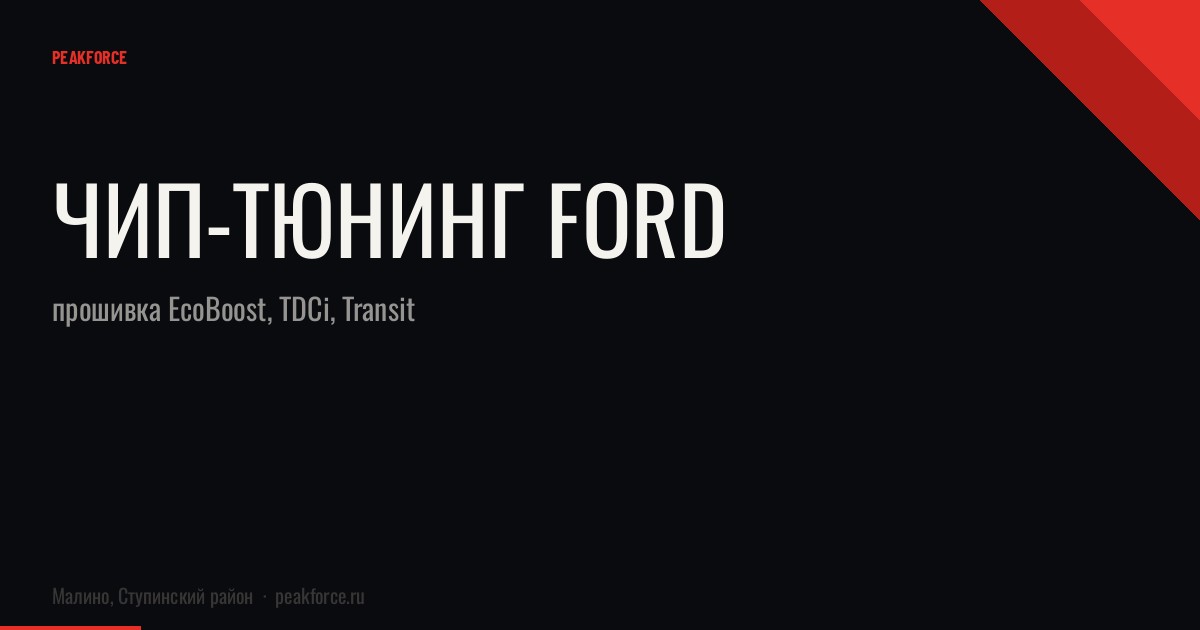 Чип-тюнинг Ford: прошивка EcoBoost, TDCi, Transit
