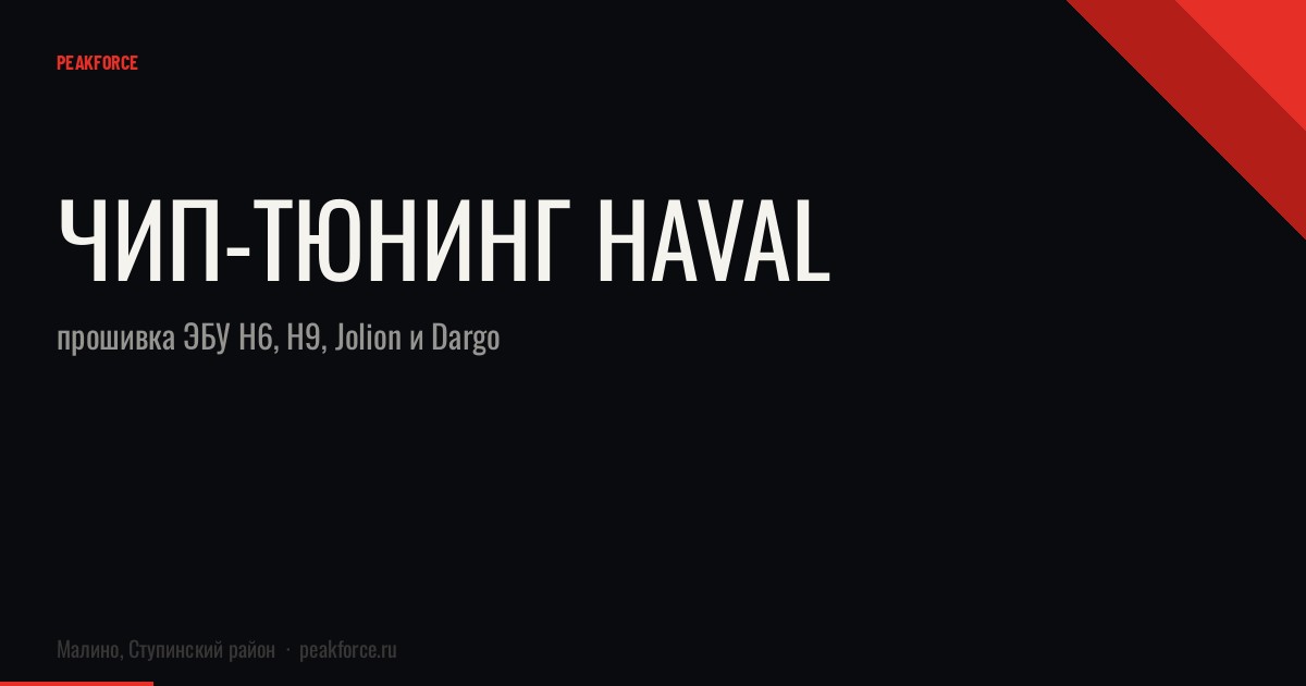Чип-тюнинг Haval: прошивка ЭБУ H6, H9, Jolion и Dargo