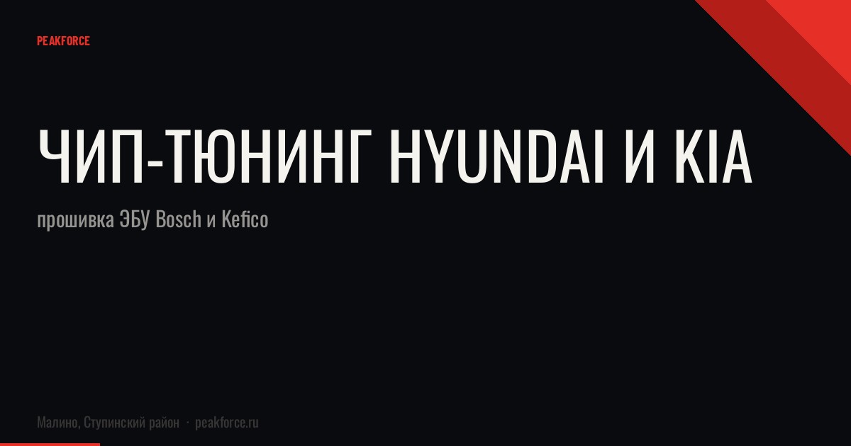 Чип-тюнинг Hyundai и Kia: прошивка ЭБУ Bosch и Kefico