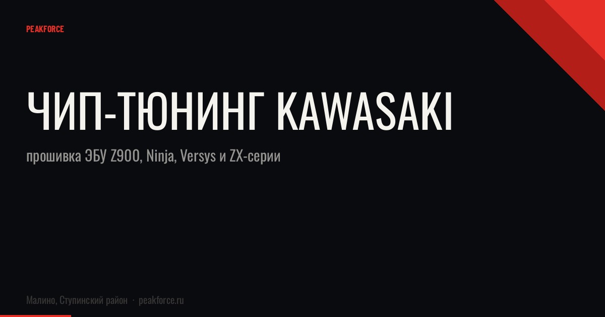 Чип-тюнинг Kawasaki: прошивка ЭБУ Z900, Ninja, Versys и ZX-серии