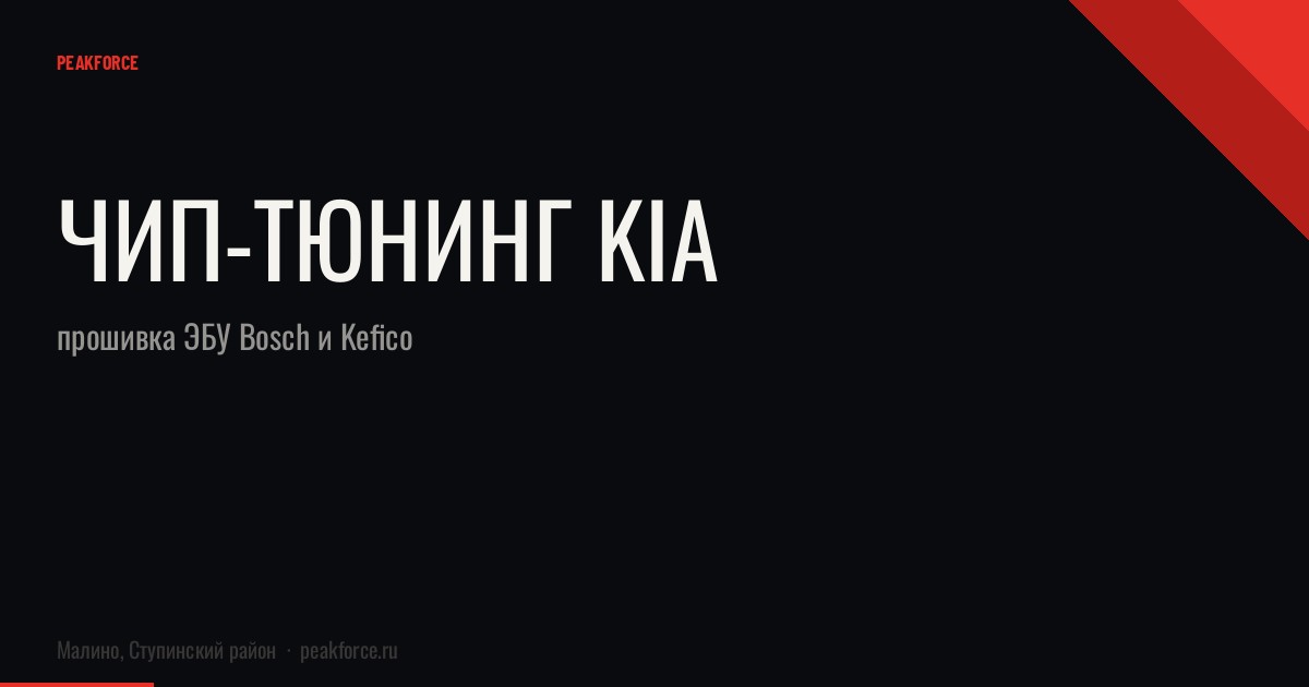Чип-тюнинг Kia: прошивка ЭБУ Bosch и Kefico