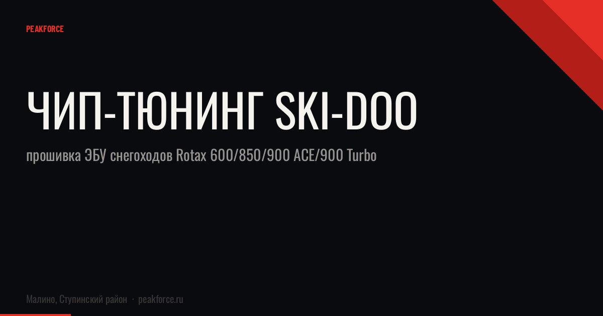 Чип-тюнинг Ski-Doo: прошивка ЭБУ снегоходов Rotax 600/850/900 ACE/900 Turbo
