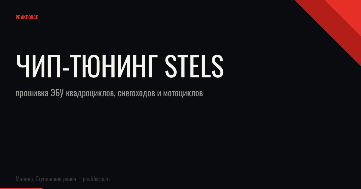 Чип-тюнинг Stels: прошивка ЭБУ квадроциклов, снегоходов и мотоциклов