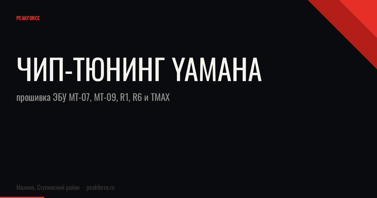 Чип-тюнинг Yamaha: прошивка ЭБУ MT-07, MT-09, R1, R6 и TMAX
