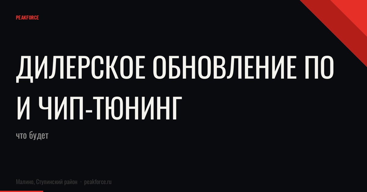 Дилерское обновление ПО и чип-тюнинг: что будет