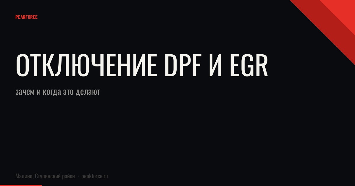 Отключение DPF и EGR: зачем и когда это делают